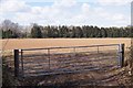 Farmland west of Red Rice