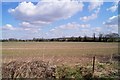 Farmland by Fullerton Road