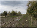 Footpath near Odstone Farm