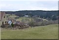 Pasture on the south east edge of Rothbury