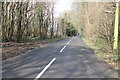 Waltham Road towards Petham