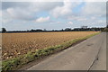 Ploughed Field off Kake Street