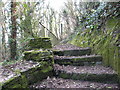 Footpath through deciduous woodland