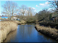 Dingwall Canal