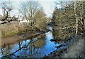 Dingwall Canal