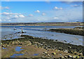 NH5658 : The Old Dingwall Harbour by Mary and Angus Hogg