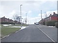 Looking back along Throstle Road