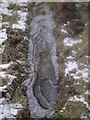 SH6312 : Icy puddle by liz dawson