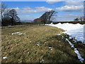 Pasture beside Clough Head