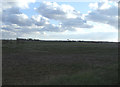 Farmland off Faulding Lane