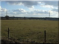 Farmland, Habrough