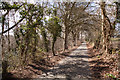 Road between Shrub Farm and Hazelton Farm