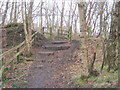 Steps for footpath to exit Waldrige Fell