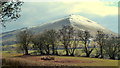 Mynydd Troed from Genfordd