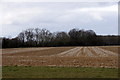 Fields north of Ashby de la Launde