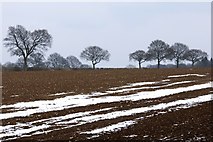 TL0202 : Winter landscape near Holly Hedges Lane by Simon Mortimer