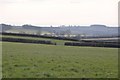 ST0321 : Mid Devon : Grassy Field by Lewis Clarke
