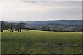 ST0321 : Mid Devon : Countryside Scenery by Lewis Clarke