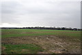 Farmland, Merton Lane