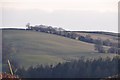 Mid Devon : Hillside Scenery