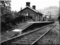 SO5310 : Redbrook-on-Wye railway station from North by Richard Green