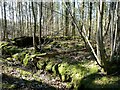 The Remains of Lady Chapel