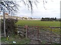 Footpath to Mere