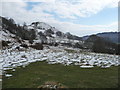 Landscape near Cwmyoy