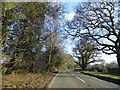 Horsham Road before Forest Green