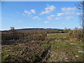 Field by Ockley Road