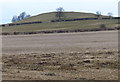 SP7594 : Crossburrow Hill viewed from Langton Road by Mat Fascione