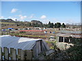 Allotment gardens near the canal in Brecon