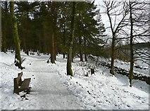 SE0631 : Snow-covered footpath through woodland, Ogden Reservoir by Humphrey Bolton