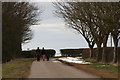 Dog walkers near Lambcroft Cottages