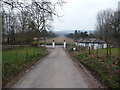 View down the Llangibby Walks from Llangibby Park entrance