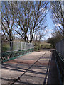 River Tame Bridge