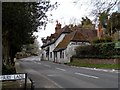 The Dog and Badger pub