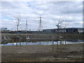 Drainage pond, Barking Riverside