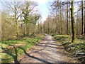 Broad Oak, bridleway