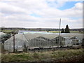 Glasshouses and Nursery Near Kidderminster