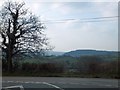 Fields, hills and woods south-west of Lewtrenchard