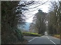 Tree-lined road south of Lewtrenchard