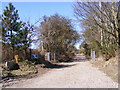 Footpath & entrance to Sandy Lane Farm