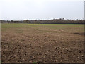 SP2755 : Farmland, Wellesbourne by JThomas