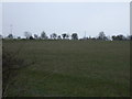 Farmland, Moreton Hill