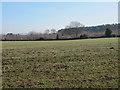 Farmland and woodland north of Broomley Pit House