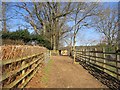 Path, Wyre Forest