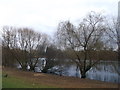 Parsloes Park Pond