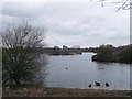 Mayesbrook Park Boating Lake