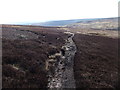 Track on Skelderskew Moor